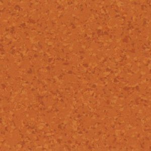 4455 - Orange Sunlight