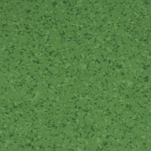 4467 - Clover