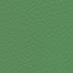6556 VERDE